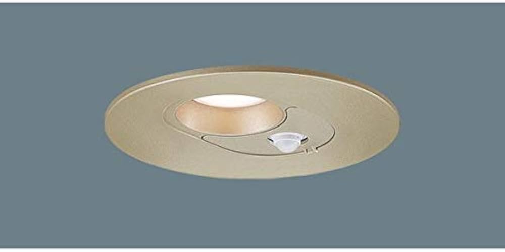 【未開封】防雨型ダウンライト　LRDC1200LLE1 ×2個 電気 ライト Panasonic パナソニック LRD1200L LE1 LED 電球色 軒下用ダウンライト